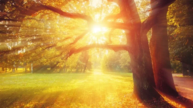 Kellemes őszi idő várható az utolsó októberi hétvégén