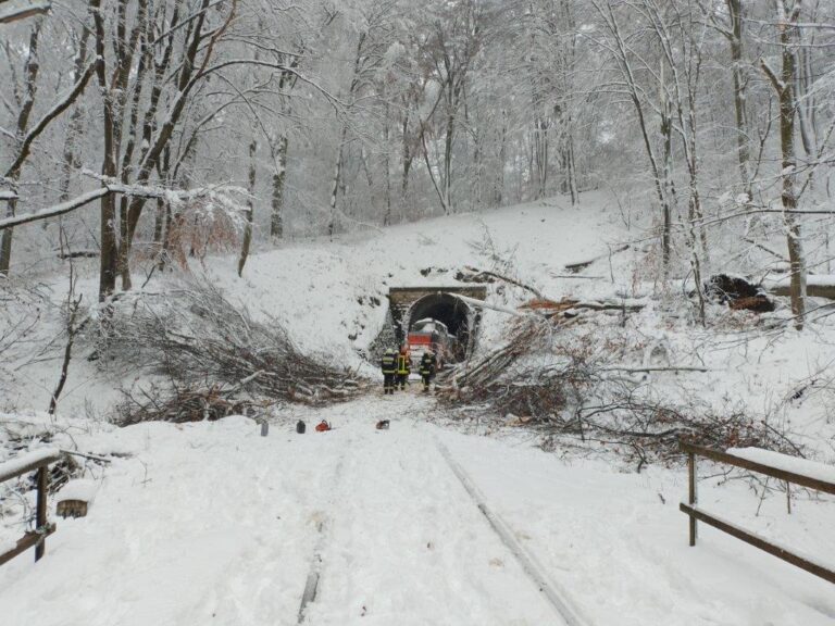 Megyeszerte fennakadásokat tapasztalhattak az utasok a vasúti közlekedésben