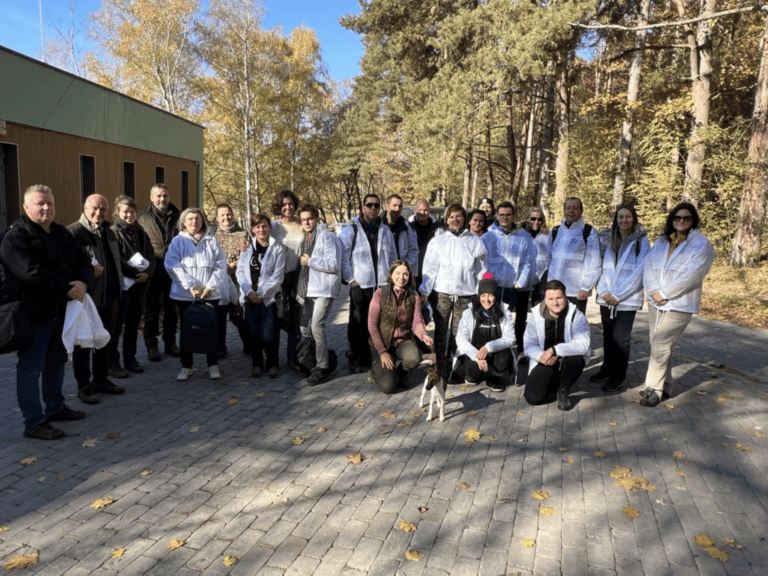 Megkezdődött a károsodott erdőállományok helyreállítása a Nyírjesben