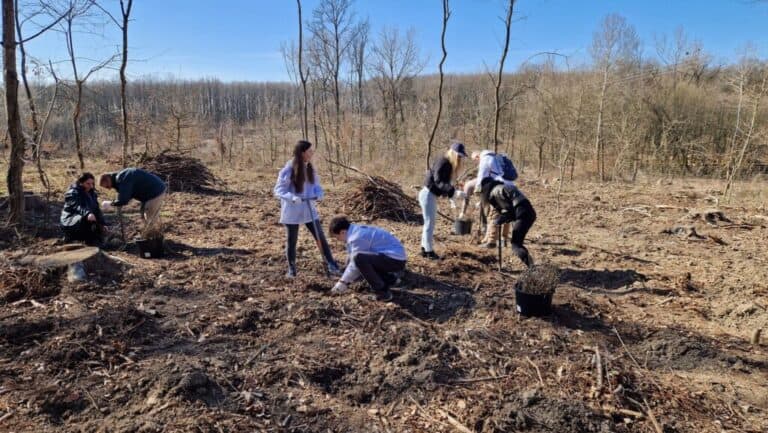 Felkészítik az erdőket a jövőbeli éghajlati viszonyokra
