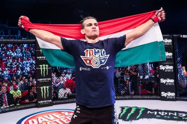 MMA – Borics Ádám kiütéses vereséget szenvedett