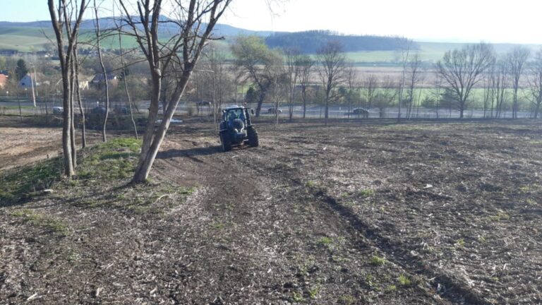 Új erdő születik az elpusztult lucfenyves helyén Nógrádban