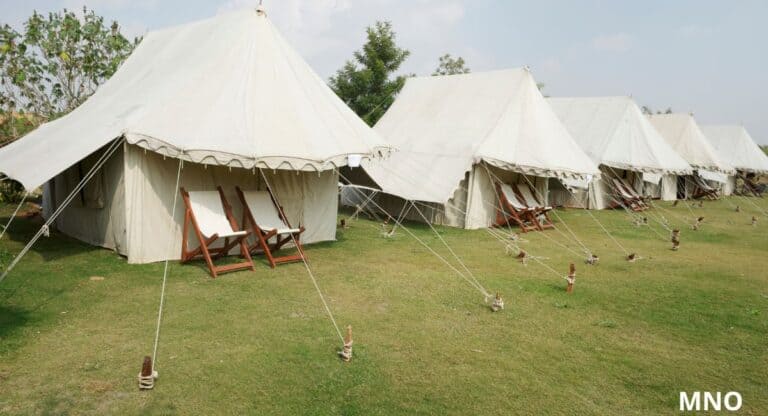 Luxuskempingben támadt a vadállat – a turista életét vesztette, miután kilépett a sátorból