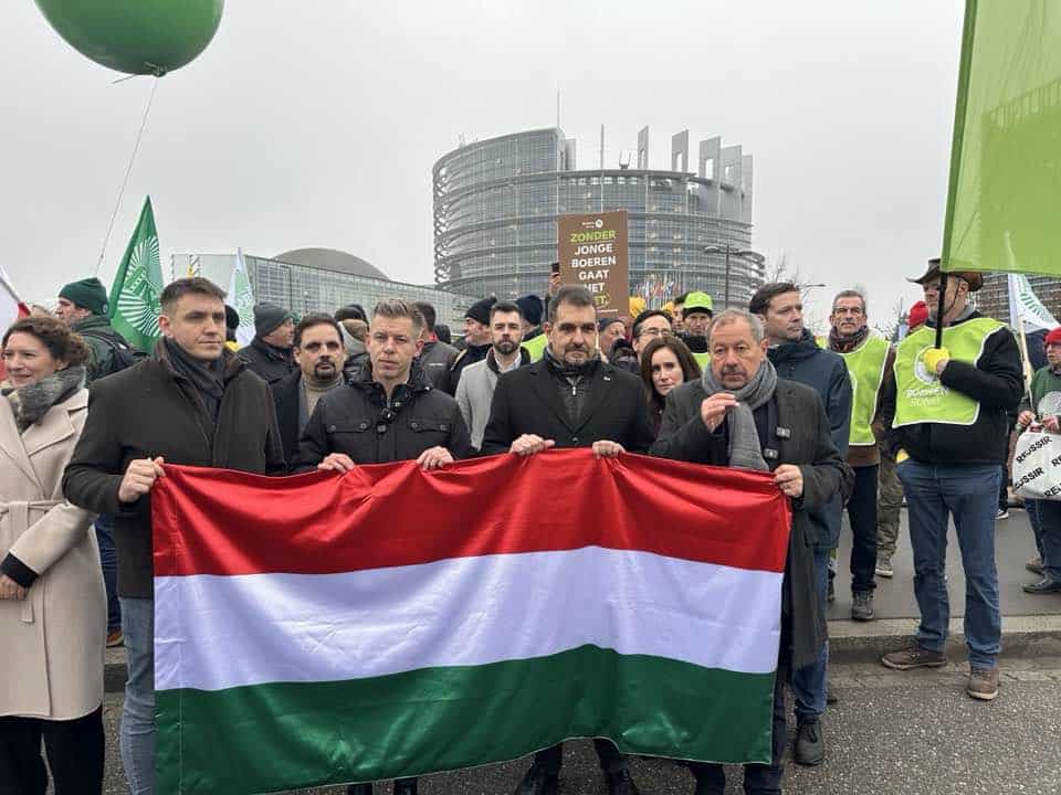 Magyarország, tüntetés, emberek, nemzeti zászló, demonstráció, civil esemény, politikai megmozdulás, Budapest, közösség, hivatalos épület.