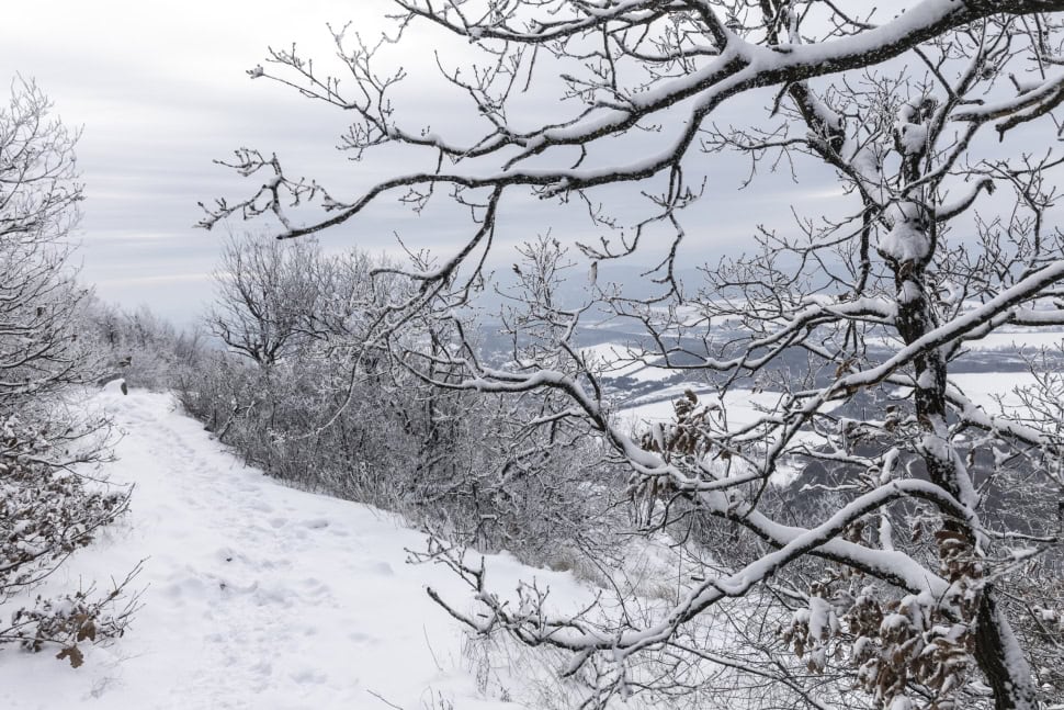 Havas erdei ösvény hófödte téli tájjal, nyugodt és festői, téli természet szépségei Magyarországon.
