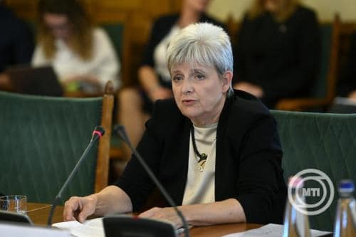 Lannert Judit beszél egy tanácskozáson, háttérben több résztvevő.