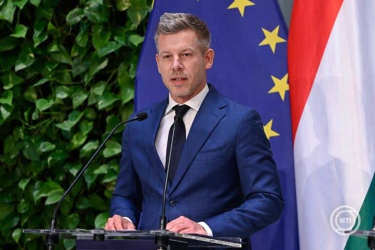 Magyar politikus beszédet mond az EU zászlók előtt.